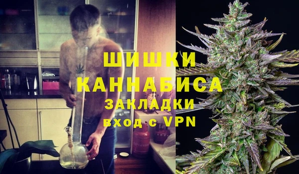 стафф Вязьма