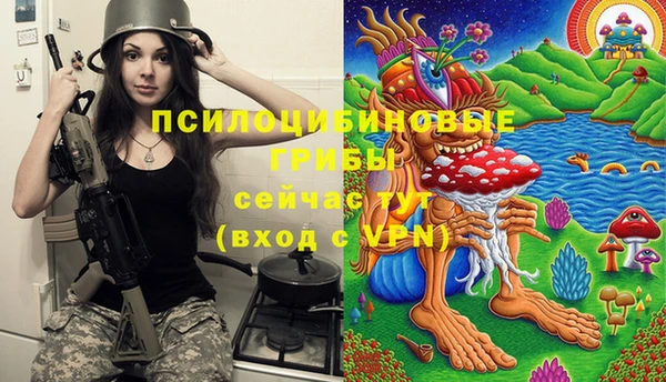 кокаин премиум Вяземский
