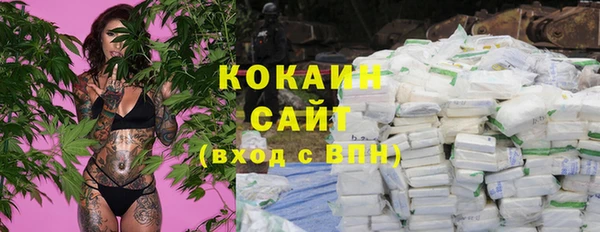 стафф Вязьма