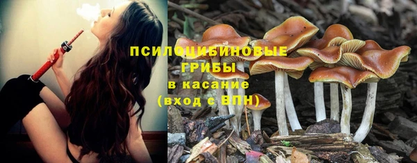 герыч Вязники