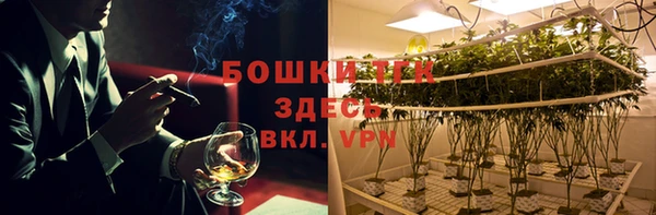стафф Вязьма