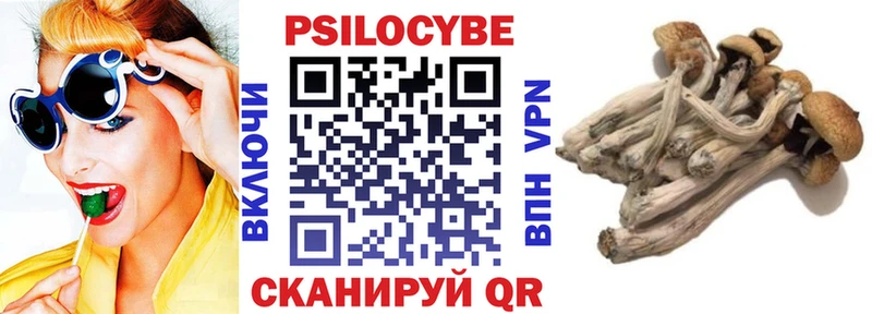 Галлюциногенные грибы GOLDEN TEACHER продажа наркотиков Симферополь